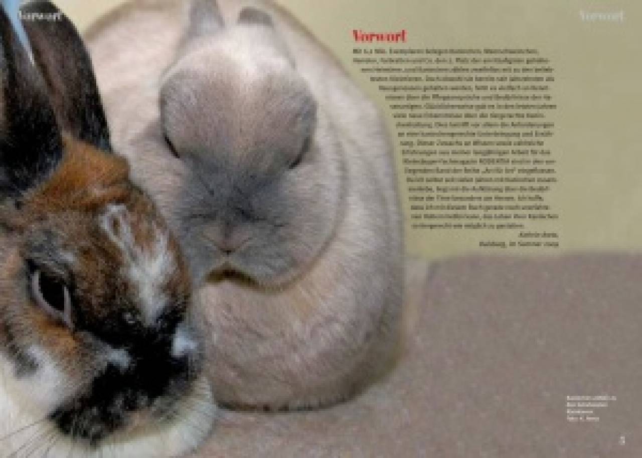 Kaninchen